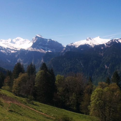PANO_20190531_104012