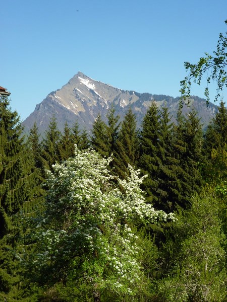 2_samoens-mai-2013-copier (Copier)