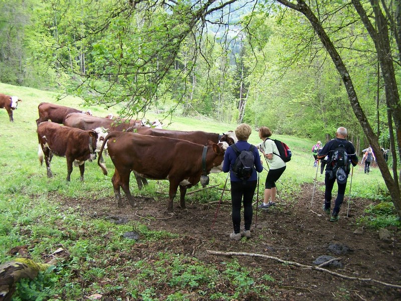 81_samoens-mai-2013-copier (Copier)