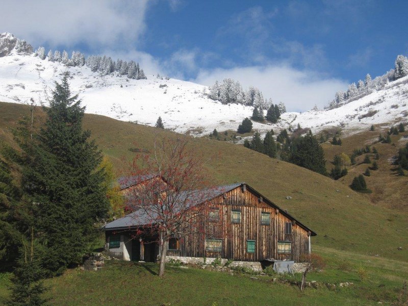 marche samoens 11nov 024 (Copier)