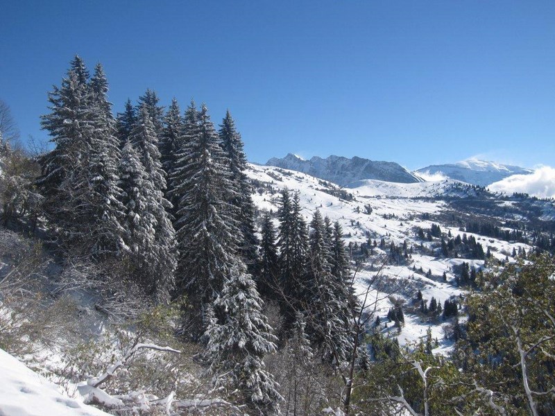 marche samoens 11nov 081 (Copier)