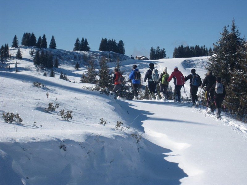 marche samoens 11nov 086 (Copier)